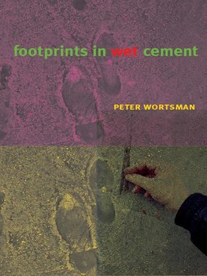 cover image of Footprints in Wet Cement